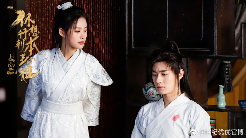 In the Day We Flipped China Web Drama